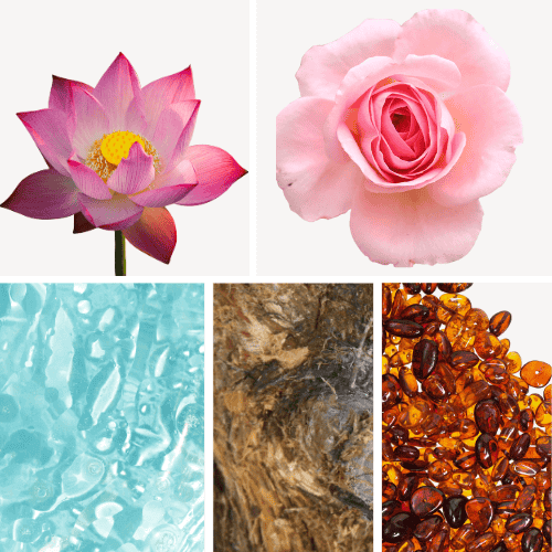 Duftnoten: Lotus, Rose, Ambra, Zedernholz, wässrige Noten